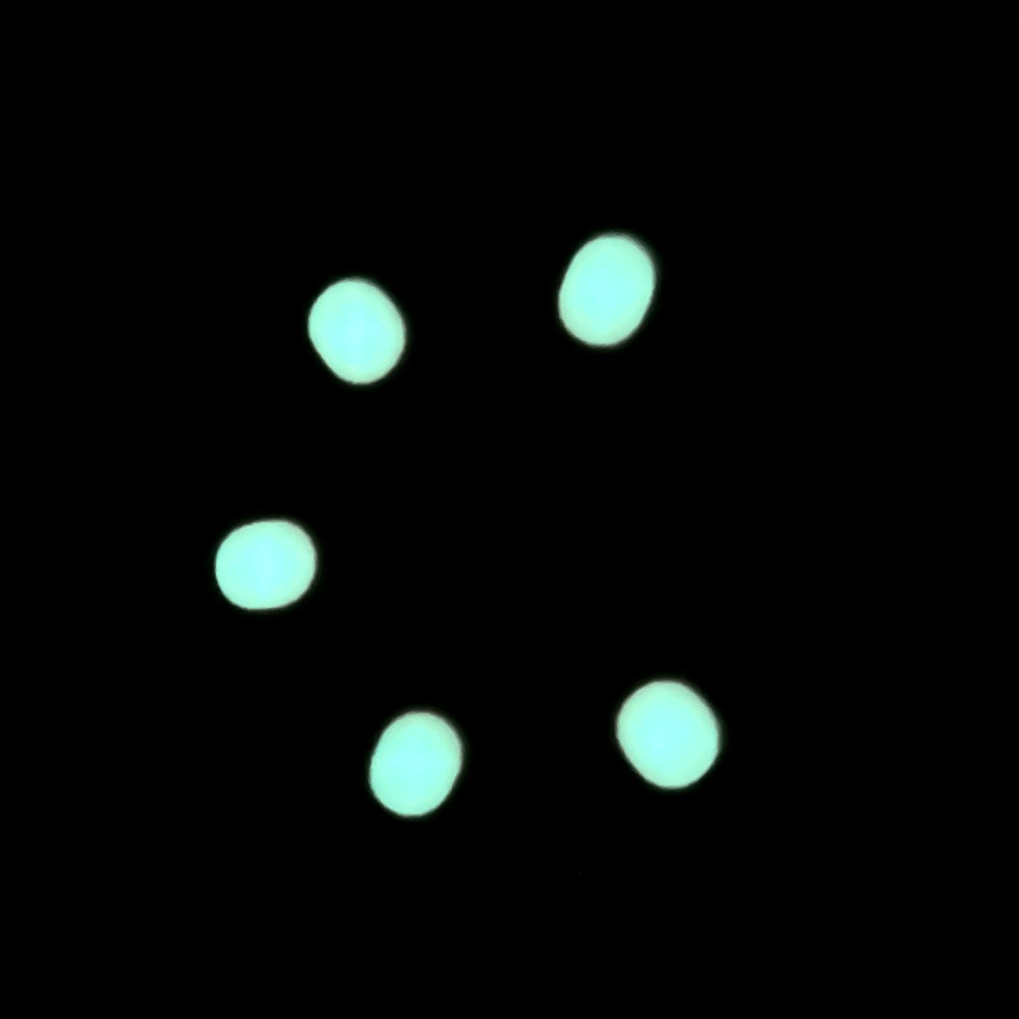 Genuine Rolex Datejust 31 Salmon Arabic Dial